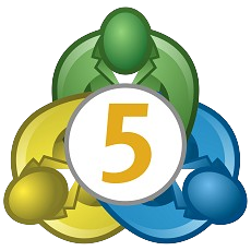 MT5